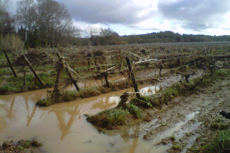 Inondations à Bizanet, dans l’Aude, où les vignes à proximité des cours d’eau ont subi des dégâts. © CHAMBRE D’AGRICULTURE DE L’AUDE