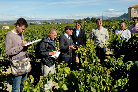 Chaque année, la Cnaoc organise une journée de vendange rassemblant journalistes, viticulteurs et représentant de l’administration. © CNAOC