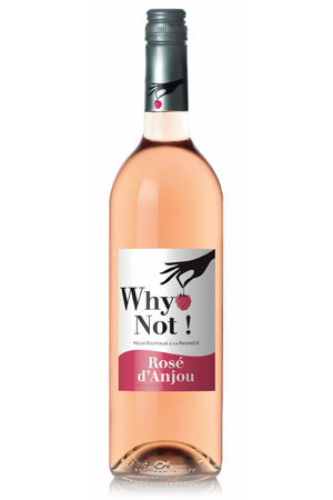 Créée pour le secteur traditionnel, la marque Why Not renferme le même vin et un packaging très légèrement différent.